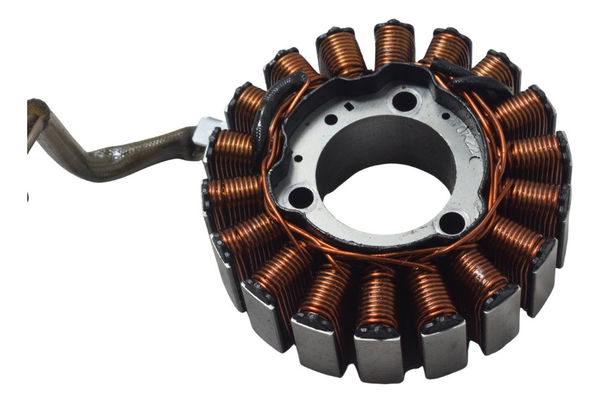 Estator Bmw G 310 Gs 20-25 Original