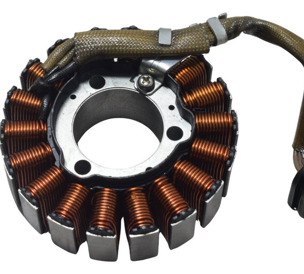 Estator Bmw G 310 Gs 20-25 Original