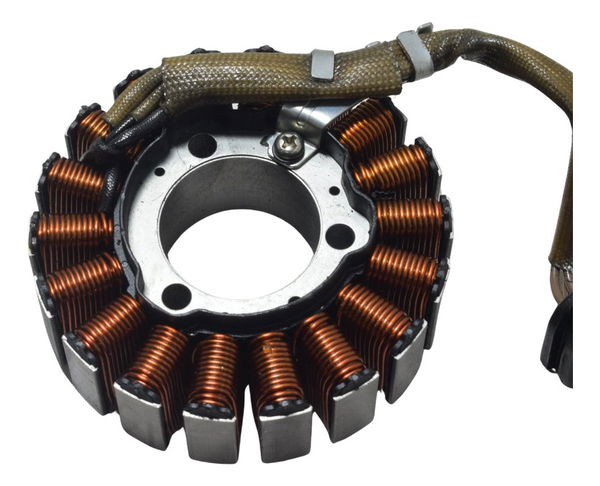 Estator Bmw G 310 Gs 20-25 Original
