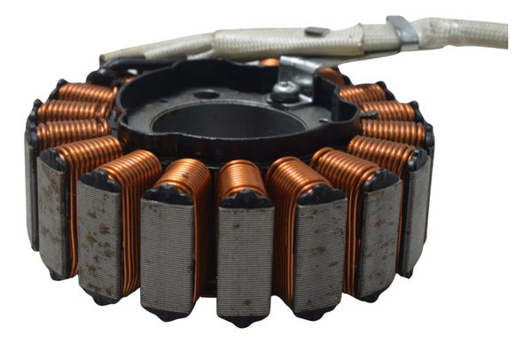 Estator S/pulsador Bmw G 310 Gs 17-20 Original