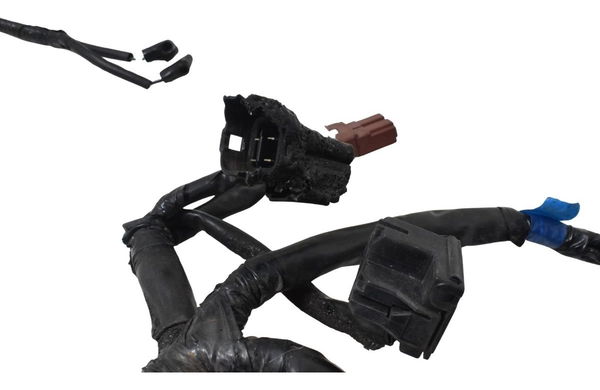 Chicote Principal C/detalhes Honda Cb 600f Hornet 12-14 Orig