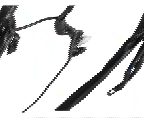 Chicote Principal C/detalhes Honda Cb 600f Hornet 12-14 Orig