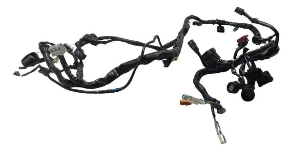 Chicote Principal Honda Cb 600f Hornet 12-14 Original