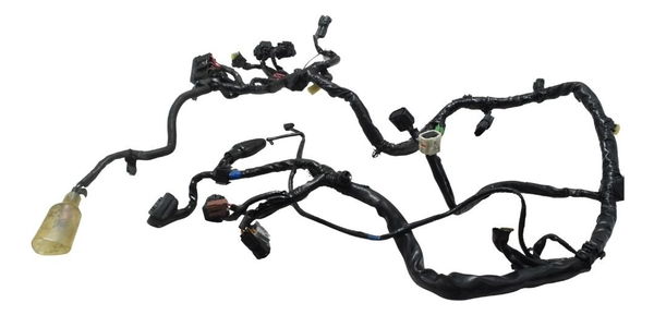 Chicote Principal Honda Cb 600f Hornet 12-14 Original