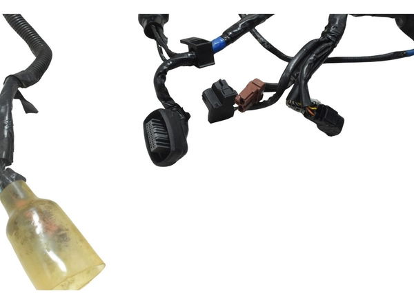 Chicote Principal Honda Cb 600f Hornet 12-14 Original