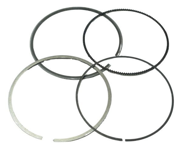 Jogo Anéis Faltando Um Bmw G 310 Gs 17-25 Original