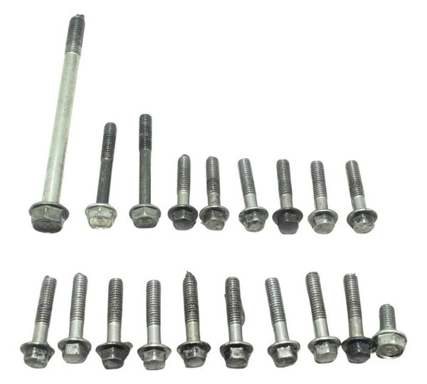 Kit Parafuso Motor Honda Cb 600f Hornet 08-14 Original