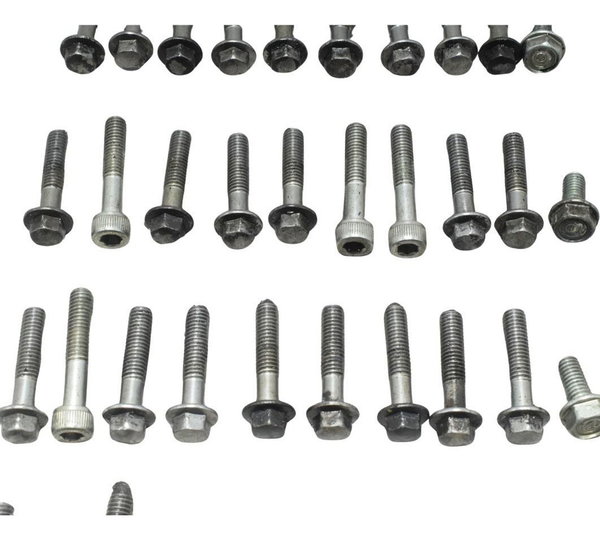 Kit Parafuso Motor Honda Cb 600f Hornet 08-14 Original