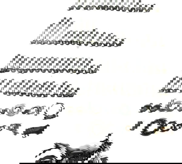 Kit Parafuso Motor Honda Cb 600f Hornet 08-14 Original