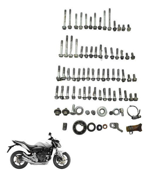 Kit Parafuso Motor Honda Cb 600f Hornet 08-14 Original