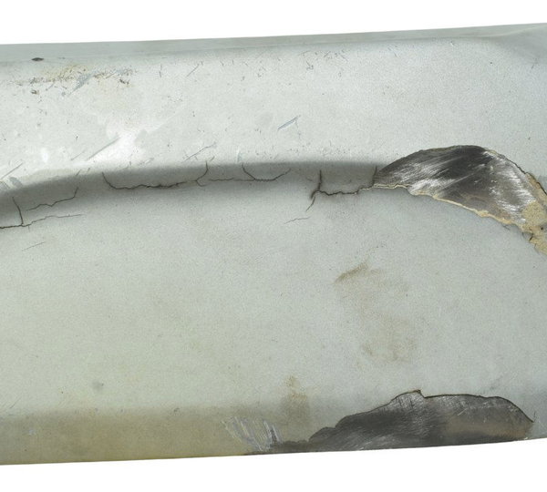 Protetor Escape C/avaria Bmw G 310 Gs 17-20 Original