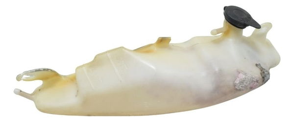 Reservatório Água C/detalhes Honda Cb 600f Hornet 12-14 Orig