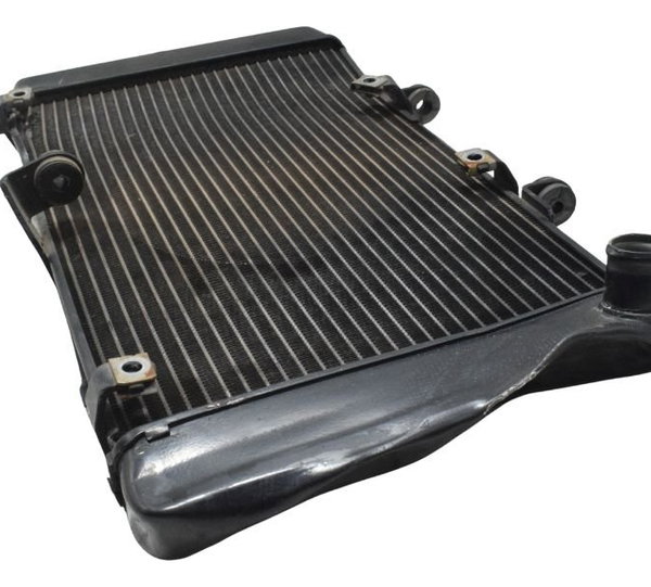 Radiador C/ Avaria Honda Cb 600f Hornet 12-14 Original