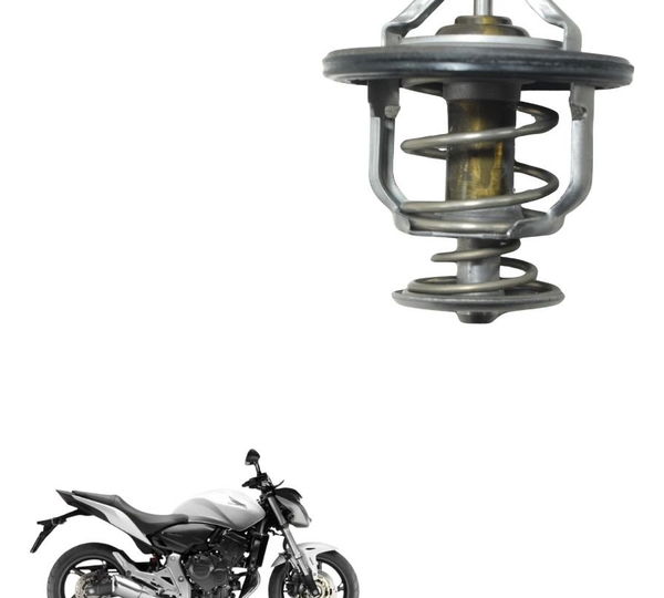 Válvula Termostática Honda Cb 600f Hornet 12-14 Original