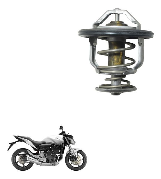 Válvula Termostática Honda Cb 600f Hornet 12-14 Original