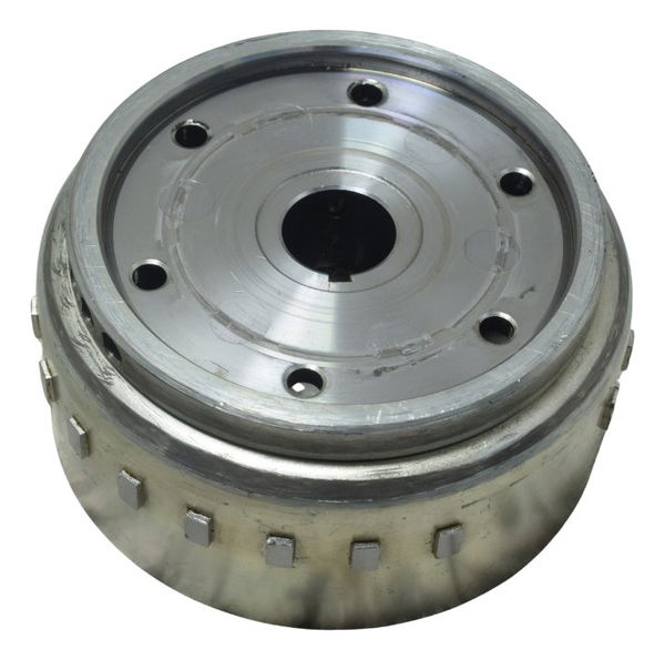 Volante Magneto Bmw G 310 Gs 17-20 Original