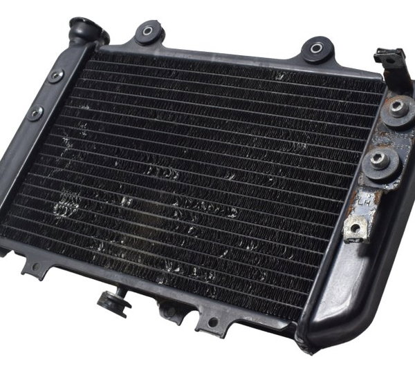 Radiador Bmw G 310 Gs 17-20 Original