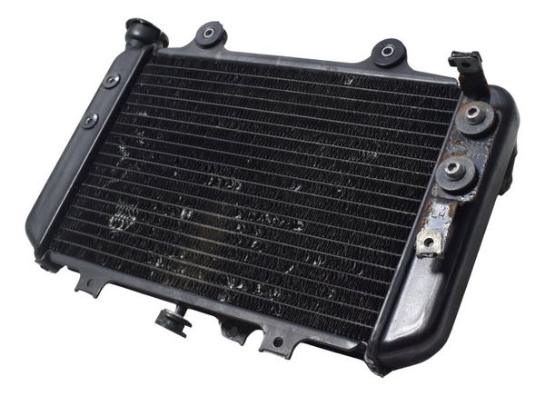 Radiador Bmw G 310 Gs 17-20 Original