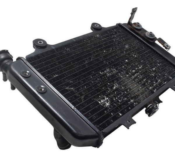 Radiador Bmw G 310 Gs 17-20 Original