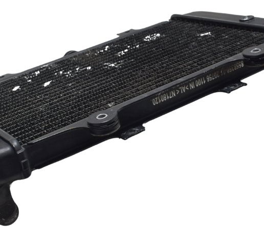 Radiador Bmw G 310 Gs 17-20 Original