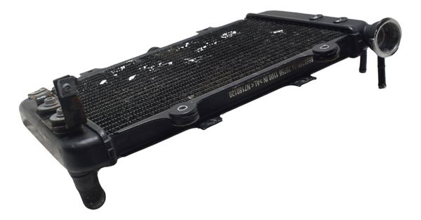 Radiador Bmw G 310 Gs 17-20 Original