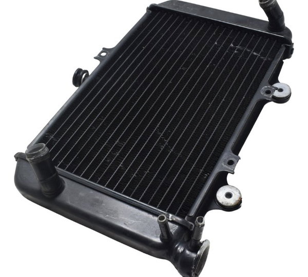 Radiador Bmw G 310 Gs 17-20 Original