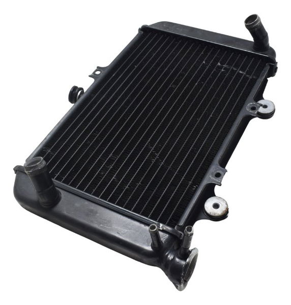 Radiador Bmw G 310 Gs 17-20 Original