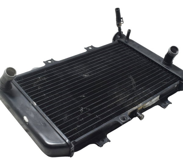 Radiador Bmw G 310 Gs 17-20 Original