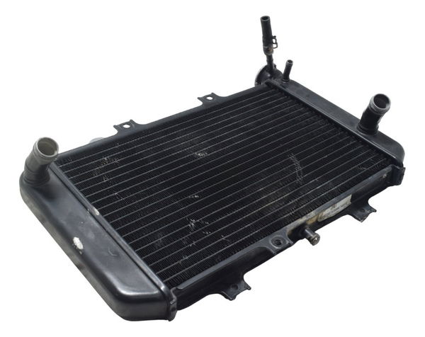 Radiador Bmw G 310 Gs 17-20 Original