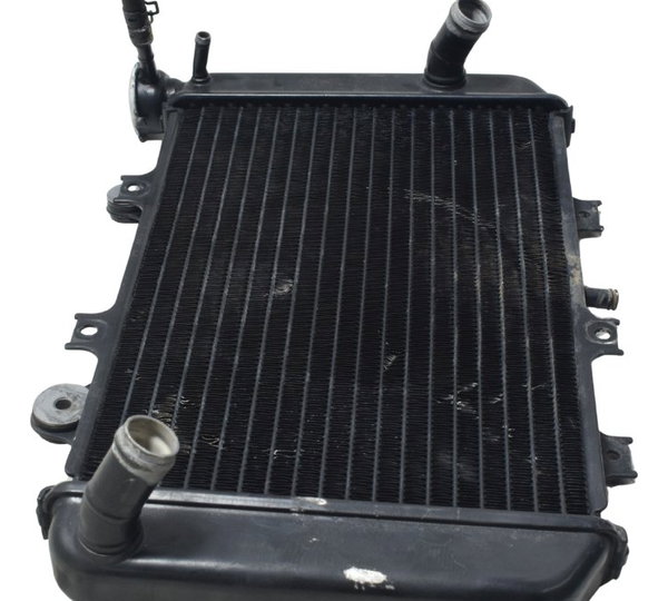 Radiador Bmw G 310 Gs 17-20 Original