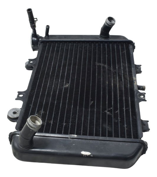 Radiador Bmw G 310 Gs 17-20 Original