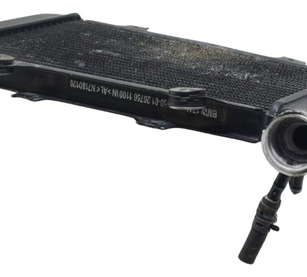 Radiador Bmw G 310 Gs 17-20 Original