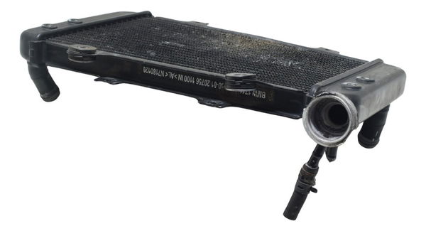 Radiador Bmw G 310 Gs 17-20 Original