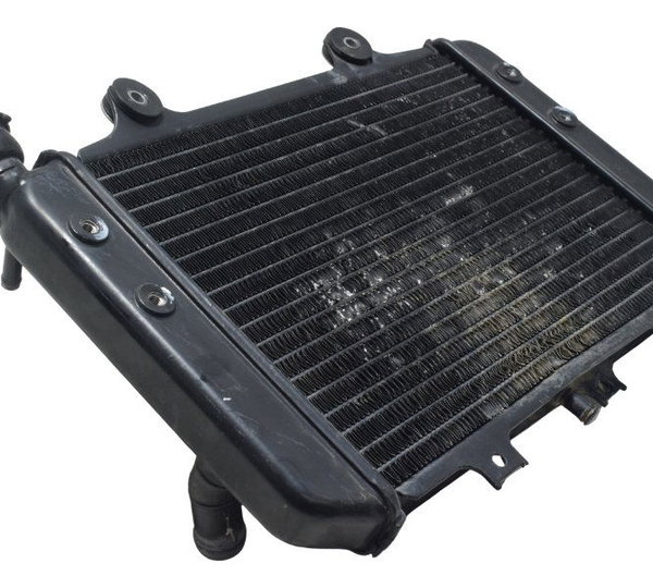 Radiador Bmw G 310 Gs 17-20 Original