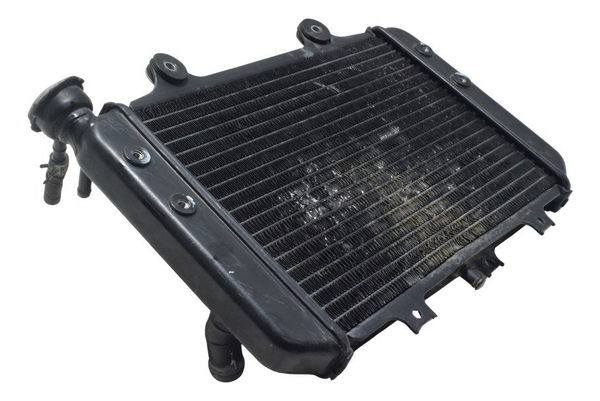 Radiador Bmw G 310 Gs 17-20 Original