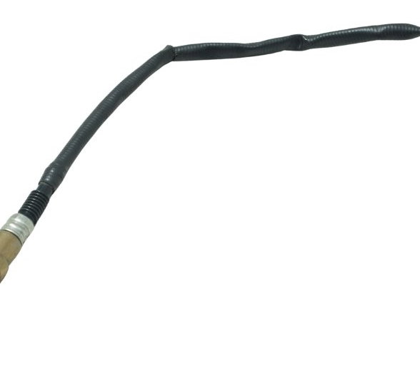 Sonda Lambda Bmw G 310 Gs 17-20 Original