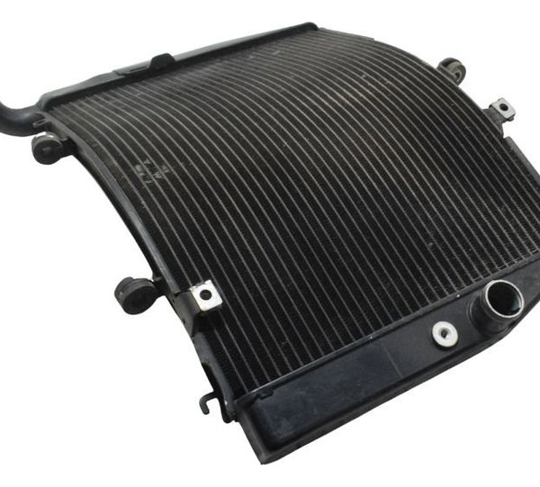 Radiador Honda Cbr 600rr 07-12 Original