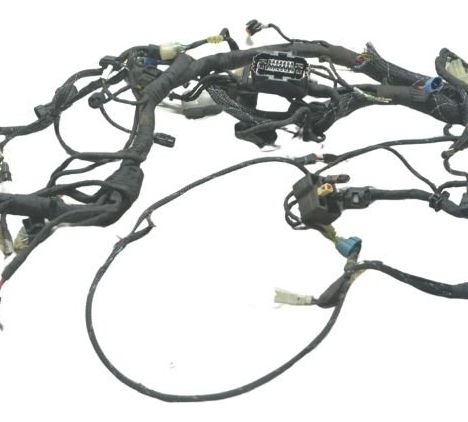 Chicote Principal C/ava Ducati Multistrada 1200 Enduro 16-19