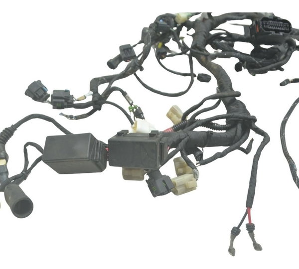 Chicote Principal C/ava Ducati Multistrada 1200 Enduro 16-19