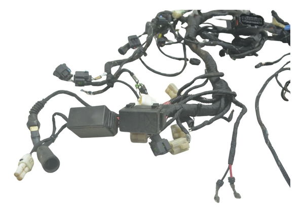 Chicote Principal C/ava Ducati Multistrada 1200 Enduro 16-19