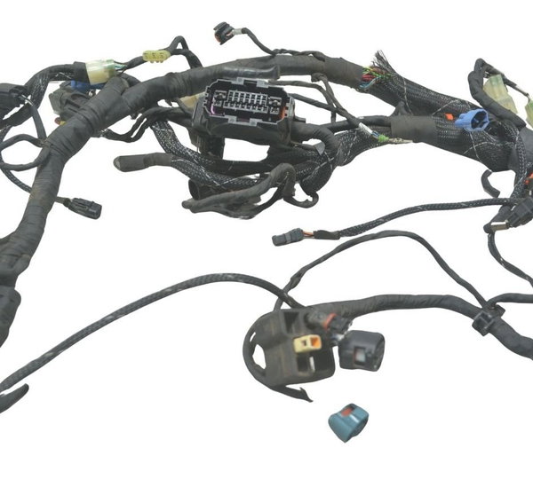 Chicote Principal C/ava Ducati Multistrada 1200 Enduro 16-19