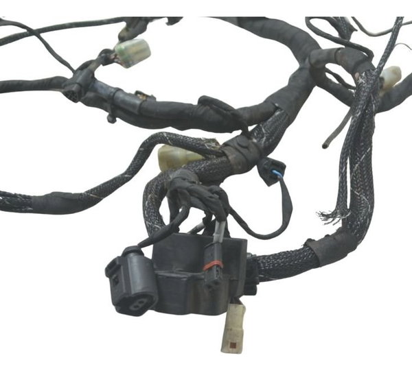 Chicote Principal C/ava Ducati Multistrada 1200 Enduro 16-19