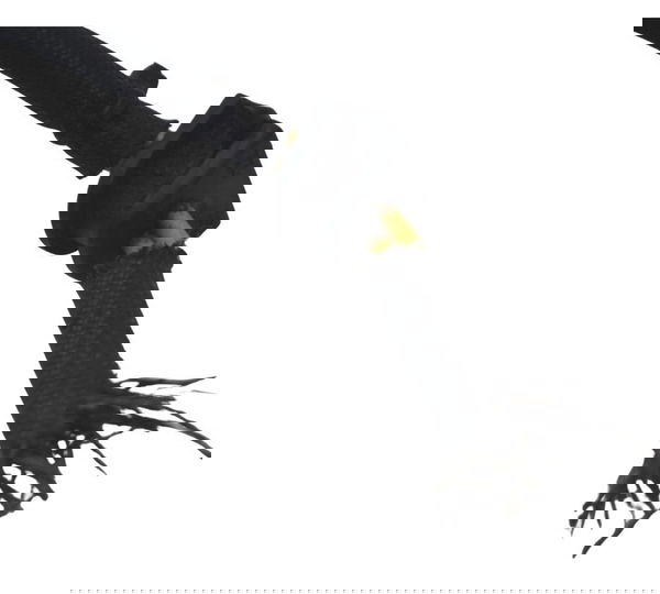 Chicote Estator Ducati Multistrada 1200 Enduro 16-19 Origi