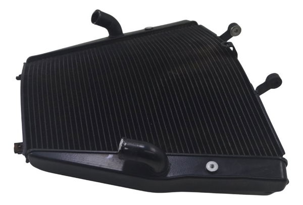 Radiador Honda Vfr 1200 F 10-12 Original
