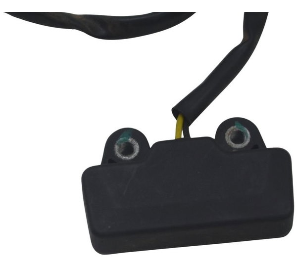 Luz Placa Ducati Multistrada 1200 Enduro 16-19 Original