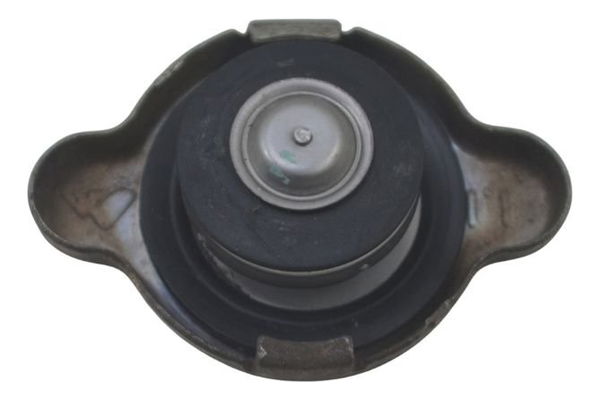 Tampa Radiador Ducati Multistrada 1200 Enduro 16-19 Original