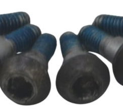 Kit Parafuso Disco Freio Diant Suzuki Gsx-s 1000 16-21 Origi