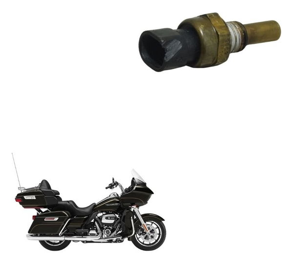 Sensor Temperatura Harley Road Glide Touring 17-20 Orig
