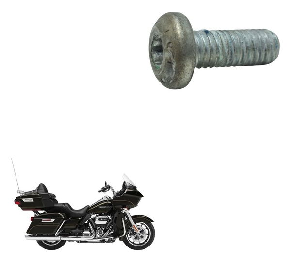 Parafuso Disco Freio Traseir Harley Road Glide Touring 17-20
