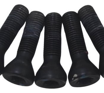 Jogo Parafuso Roda Traseira Bmw R1250 Gs 19-24 Original